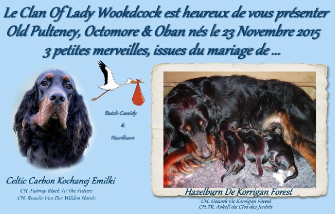 of Lady Woodcock - Naissance des petits 